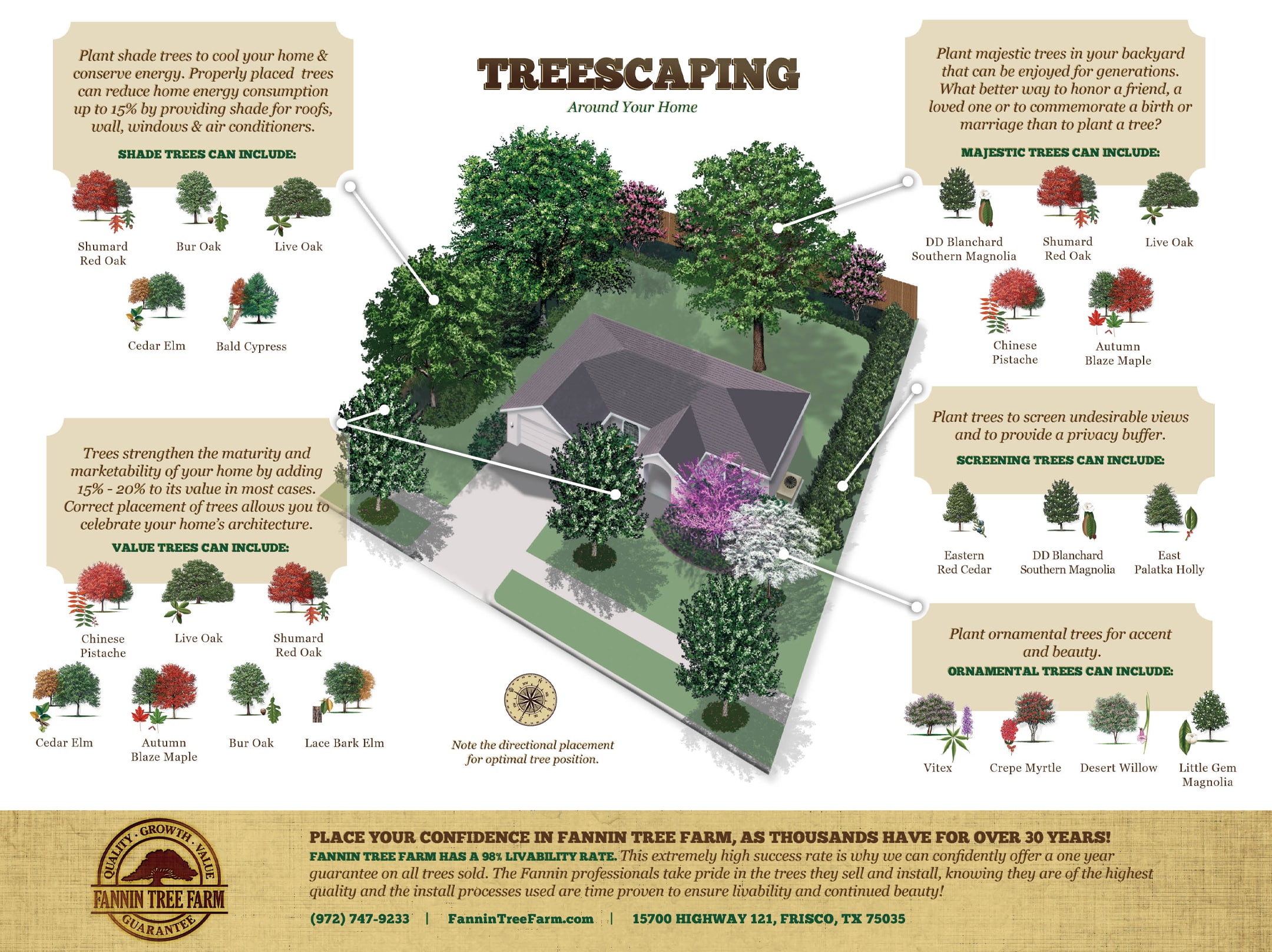 Treescaping Around Your Home Fannin Tree Farm