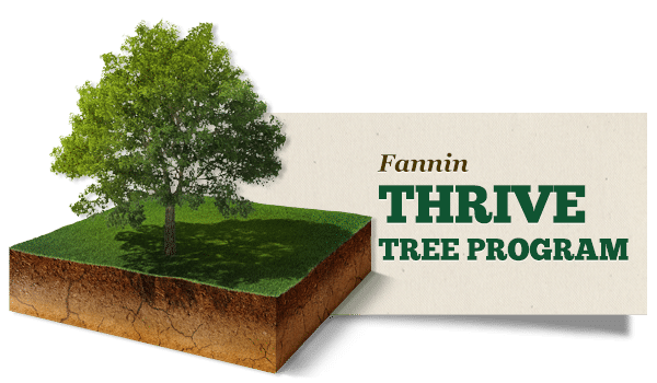 Spring Tree Treatment – Fannin Tree Services