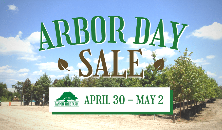 Fannin Arbor Day Sale 2021