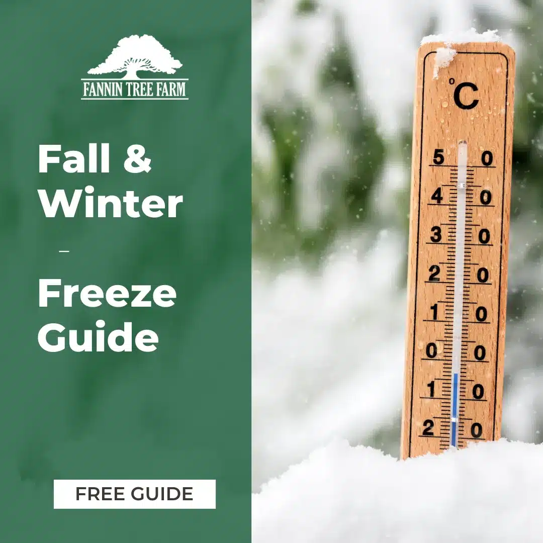 Fall & Winter Freeze Guide